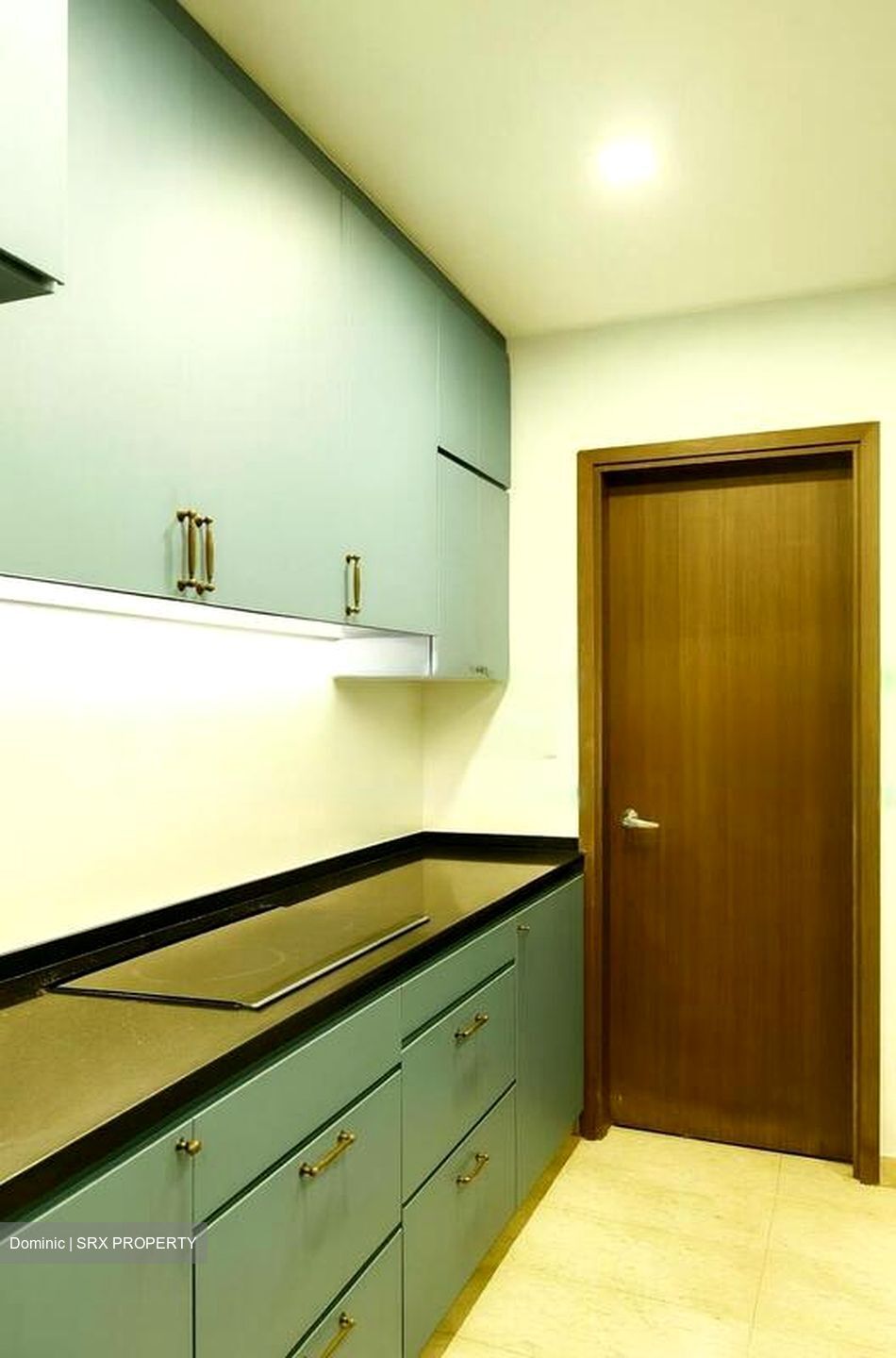 Heritage East (D15), Apartment #474934441